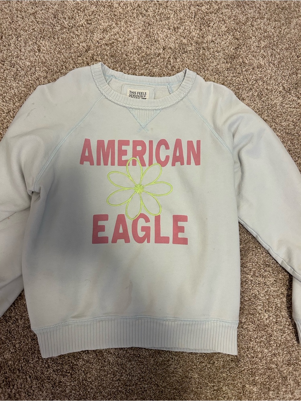 American Eagle Outfitters Women's Light Blue Graphic Sweatshirt - Pink Logo